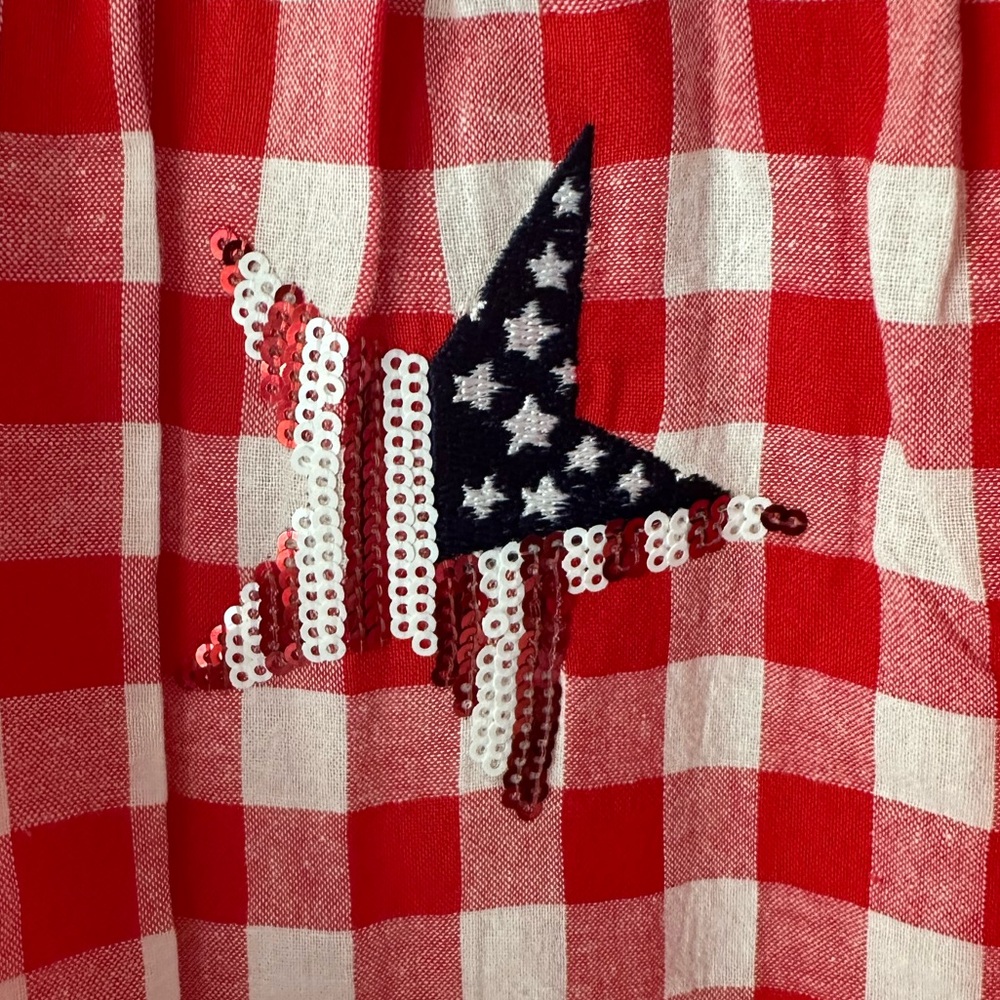 Patriotic Gingham Dress - Picture 5 of 8